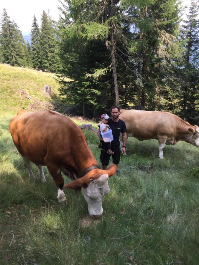 Gluecksmueh- Ferienhaus In Alleinlage Plus Bauernhoferlebnis Einach Bagian luar foto
